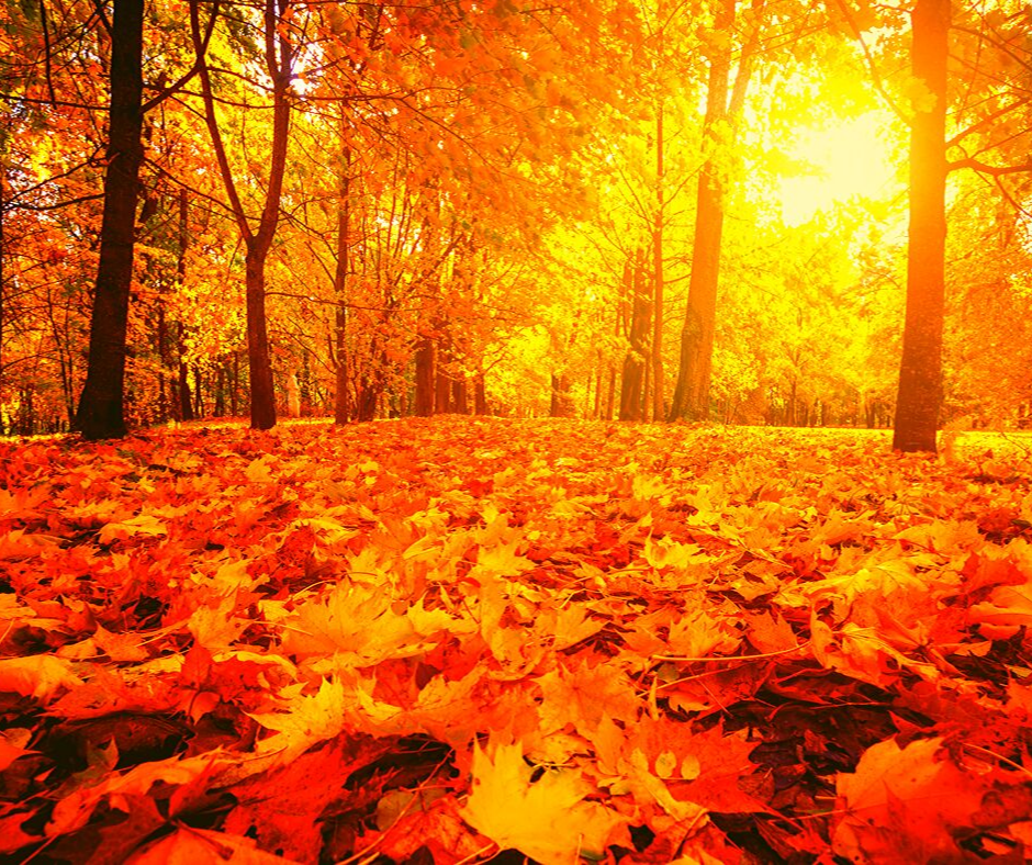 How To Create Amazing Seasonal Content For Autumn